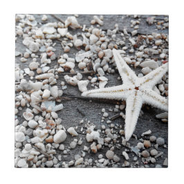 Coastal Ocean Zee Shell-patroon Tegeltje