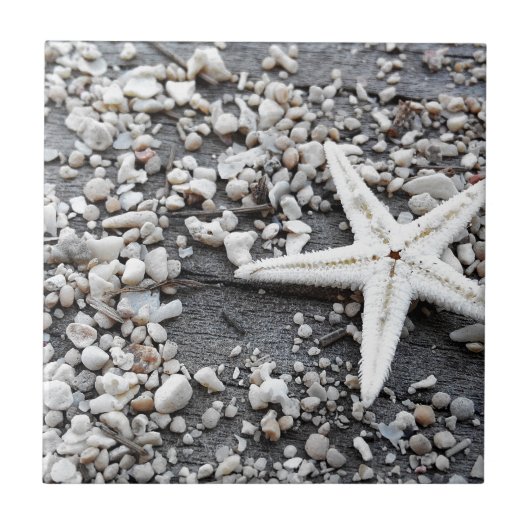 Coastal Ocean Zee Shell-patroon Tegeltje (Voorkant)