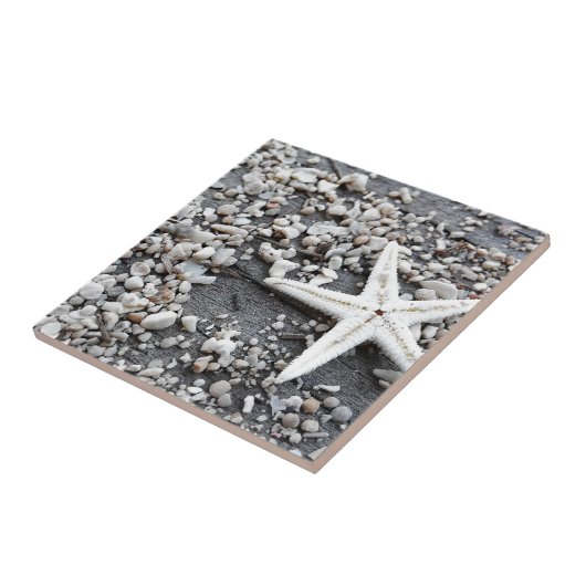 Coastal Ocean Zee Shell-patroon Tegeltje (Zijkant)