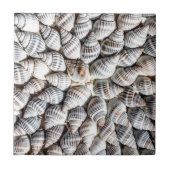 Coastal Ocean Zee Shell-patroon Tegeltje (Voorkant)