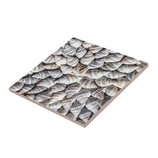 Coastal Ocean Zee Shell-patroon Tegeltje (Zijkant)