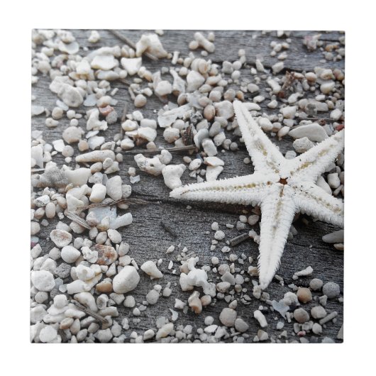 Coastal Ocean Zee Shell-patroon Tegeltje (Voorkant)