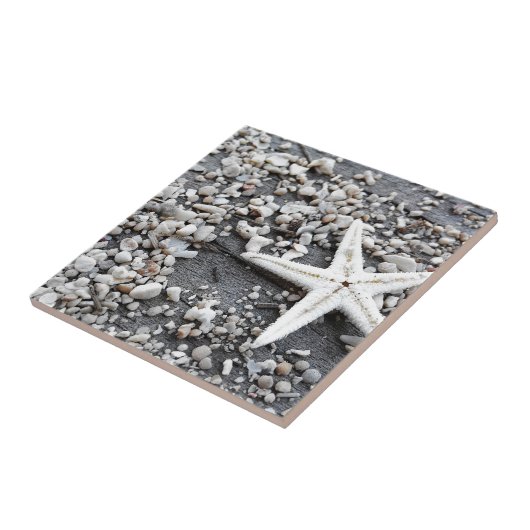 Coastal Ocean Zee Shell-patroon Tegeltje (Zijkant)