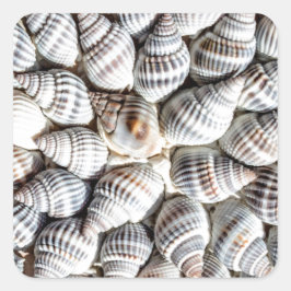 Coastal Ocean Zee Shell-patroon Vierkante Sticker