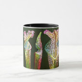 Coastal Pitcher Plant Group Mok (Midden)