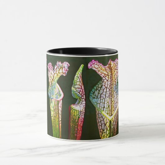 Coastal Pitcher Plant Group Mok (Midden)