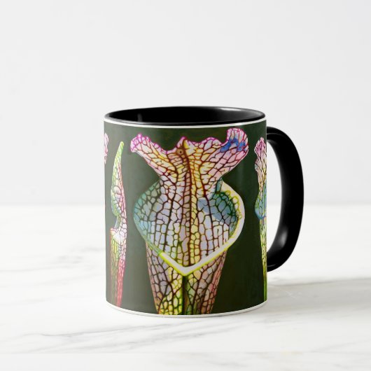 Coastal Pitcher Plant Group Mok (Voorkant rechts)