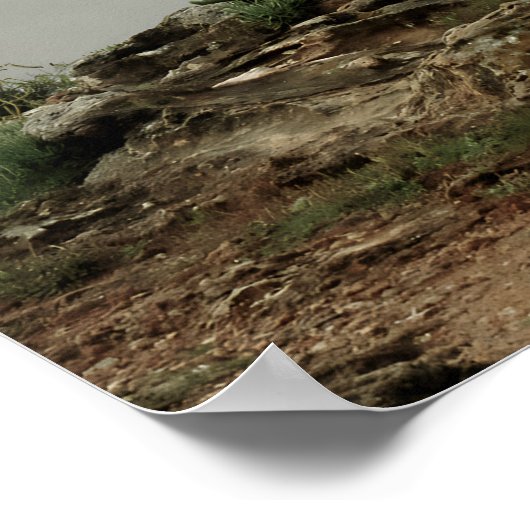 Coastal Sanctuary Poster (Hoek)