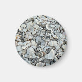 Coastal Shell Drift Pattern Magneet (Voorkant)