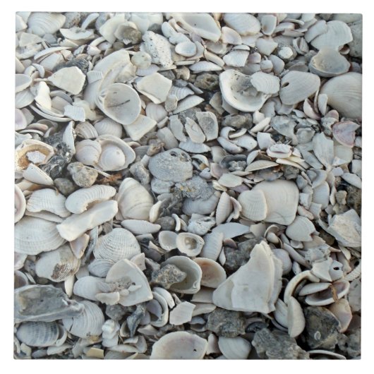 Coastal Shells Shore Tile Tegeltje (Voorkant)