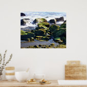 Coastal Tidepools Poster (Keuken)