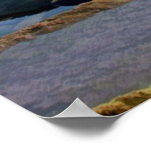 Coastal Tidepools Poster (Hoek)