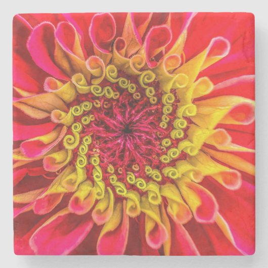 Coaster, floral design stenen onderzetter (Voorkant)