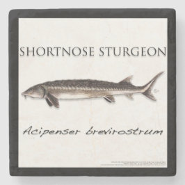COASTER - STURGEON SHORTNOSE - acigifts@yahoo.com Stenen Onderzetter
