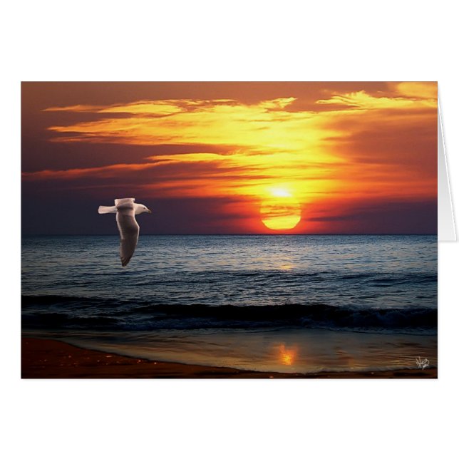 Coasting (Voorkant Horizontaal)