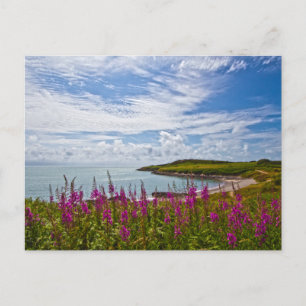 Coastline North Wales Briefkaart