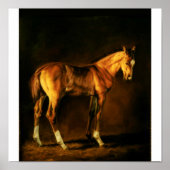 "COAT VAN VEEL KLEUREN" VAN LONNI CLARKE POSTER (Voorkant)