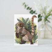 Coatamundi of White Nosed Coati Briefkaart (Staand voorkant)
