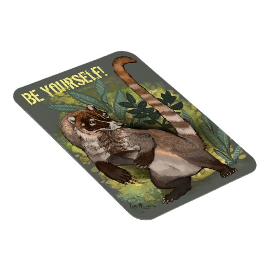 Coatamundi of White Nosed Coati Magneet (Rechterzijde)