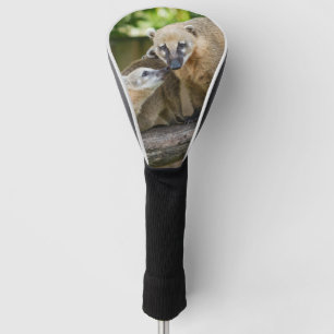 Coati Pup deelt een teder moment met mama Golfheadcover