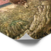 Coatimundi door Louis Sargent,  wilde dieren Poster (Hoek)