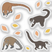 Coatis Sticker (Voorkant)