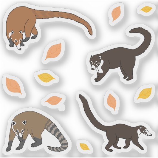 Coatis Sticker (Voorkant)