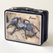 Cobalt Blue Tarantula Spider (Achterkant)