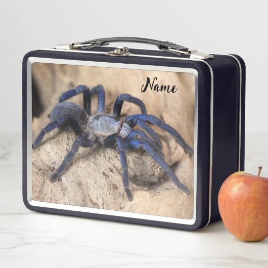 Cobalt Blue Tarantula Spider (In situ)