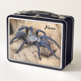Cobalt Blue Tarantula Spider