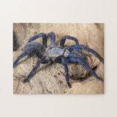 Cobalt Blue Tarantula Spider Legpuzzel (Horizontaal)