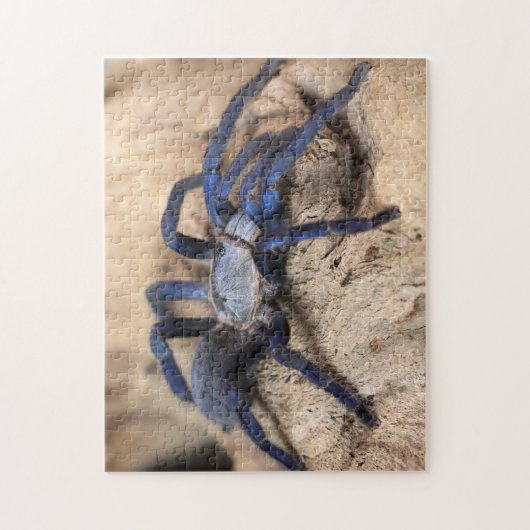 Cobalt Blue Tarantula Spider Legpuzzel (Verticaal)