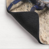 Cobalt Blue Tarantula Spider Muismat (Hoek)