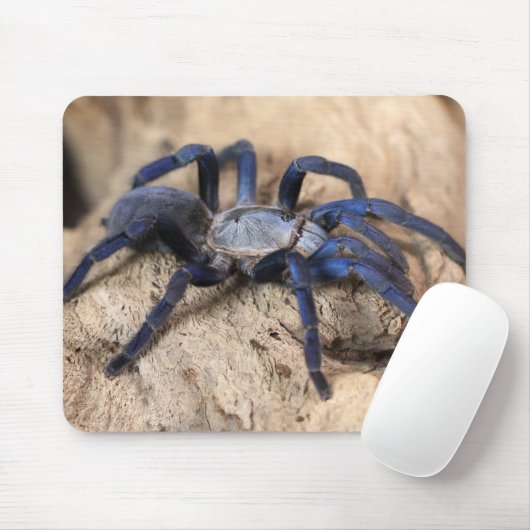 Cobalt Blue Tarantula Spider Muismat (Met muis)