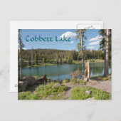 Cobbett Lake Briefkaart (Voorkant / Achterkant)
