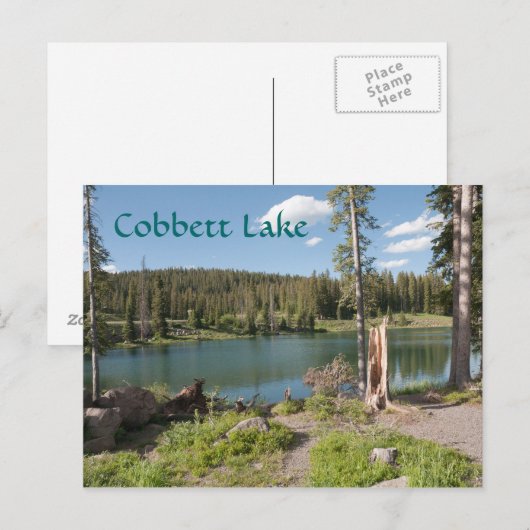 Cobbett Lake Briefkaart (Voorkant / Achterkant)