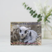 COBBLEROCK RIDGE BOERDERIJ POST CARD BRIEFKAART (Staand voorkant)