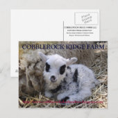 COBBLEROCK RIDGE BOERDERIJ POST CARD BRIEFKAART (Voorkant / Achterkant)