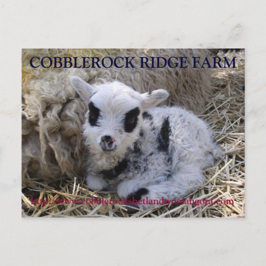 COBBLEROCK RIDGE BOERDERIJ POST CARD BRIEFKAART (Voorkant)