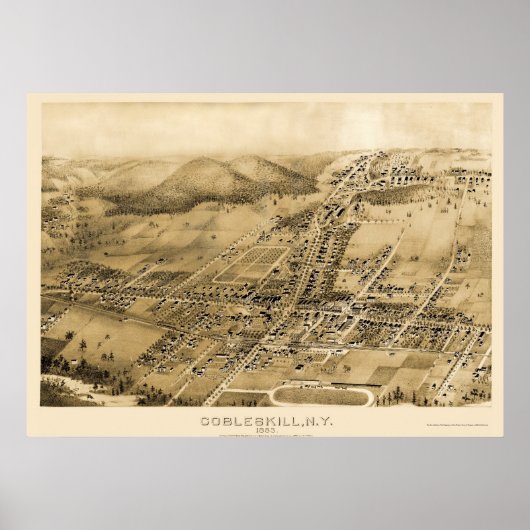 Cobbleskill, NY Panoramic Map - 1883 Poster (Voorkant)