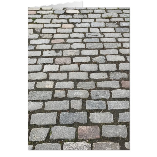 Cobblestone Walkway, Central Park, New York City (Voorkant)
