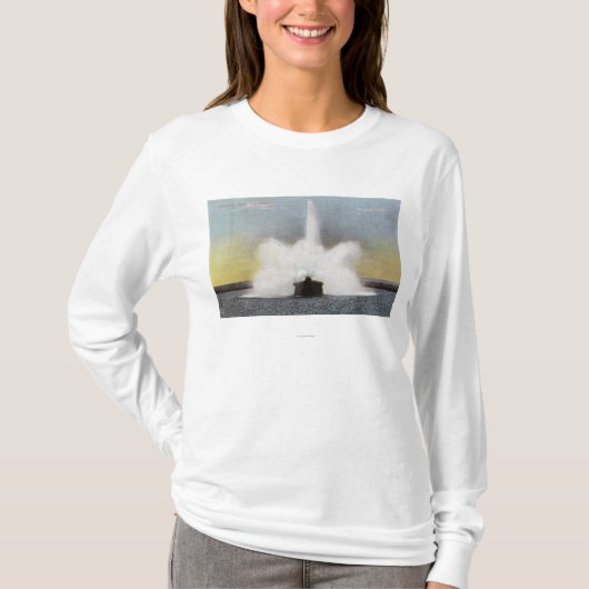 Cobbs Hill Reservoir Fountain Uitzicht T-shirt (Voorkant)
