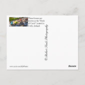 Cobh, Ierland Briefkaart (Achterkant)