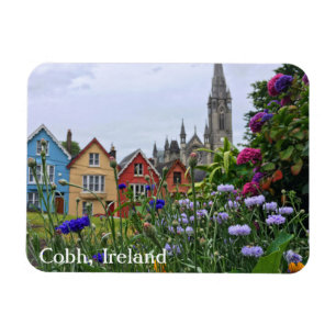 Cobh, Ierland Colorful Hydrangeas Magnet Magneet