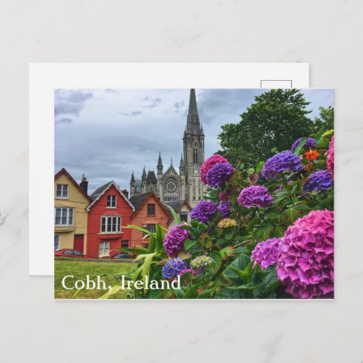 Cobh Ierland, Hydrangea hortensia's, Briefkaart (Voorkant / Achterkant)
