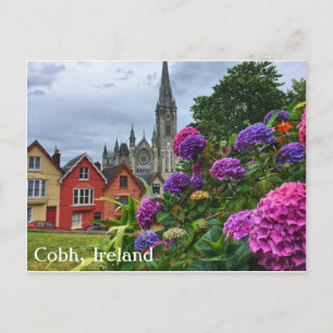 Cobh Ierland, Hydrangea hortensia's, Briefkaart