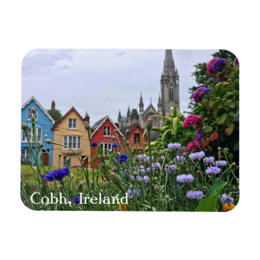 Cobh, Ierland Kleurrijke Hydrangeas Magnet Magneet (Horizontaal)