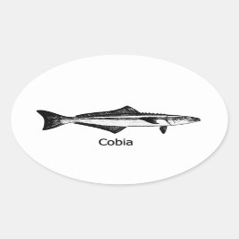 Cobia Fish Ovale Sticker