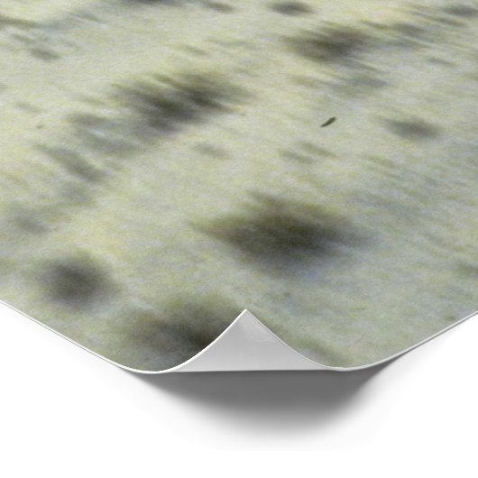 Cobra AH-1S Poster (Hoek)