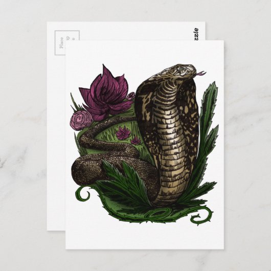 Cobra Briefkaart (Voorkant / Achterkant)